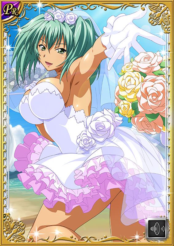 Ikkitousen Cards Coleccyion  Ryofu Housen set 635