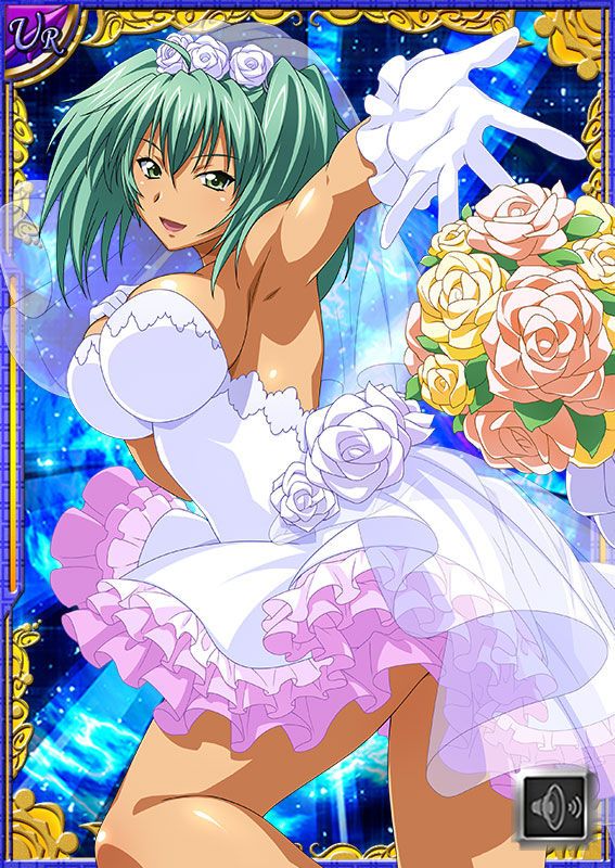 Ikkitousen Cards Coleccyion  Ryofu Housen set 636