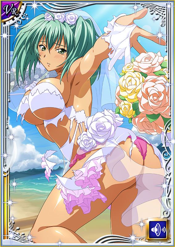 Ikkitousen Cards Coleccyion  Ryofu Housen set 637