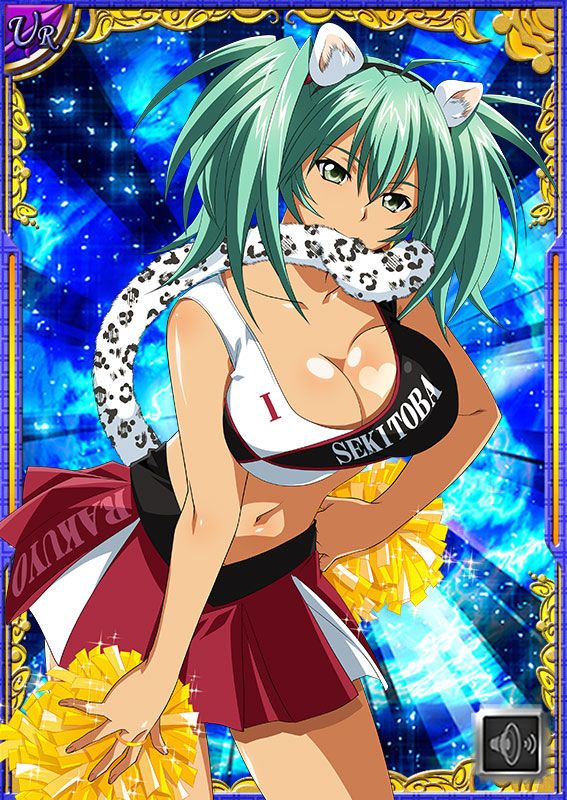 Ikkitousen Cards Coleccyion  Ryofu Housen set 642