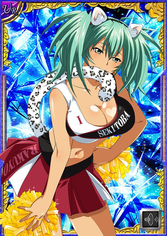 Ikkitousen Cards Coleccyion  Ryofu Housen set 643