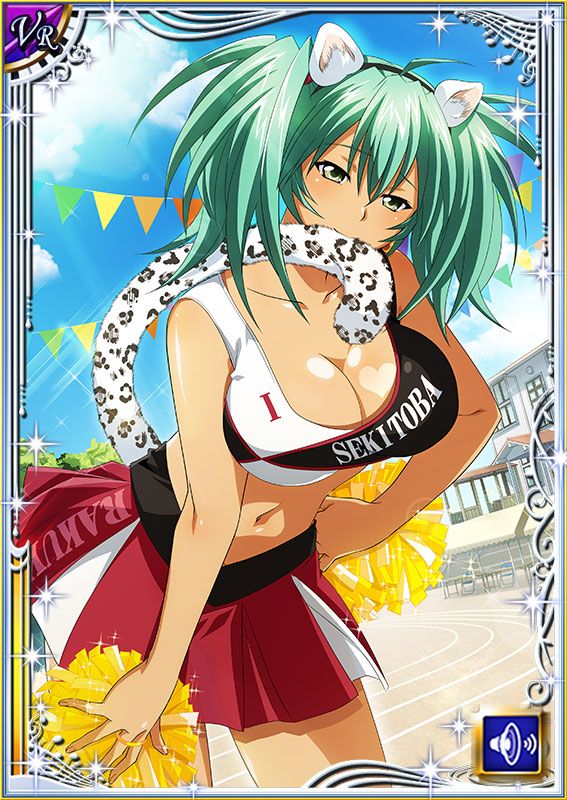 Ikkitousen Cards Coleccyion  Ryofu Housen set 644