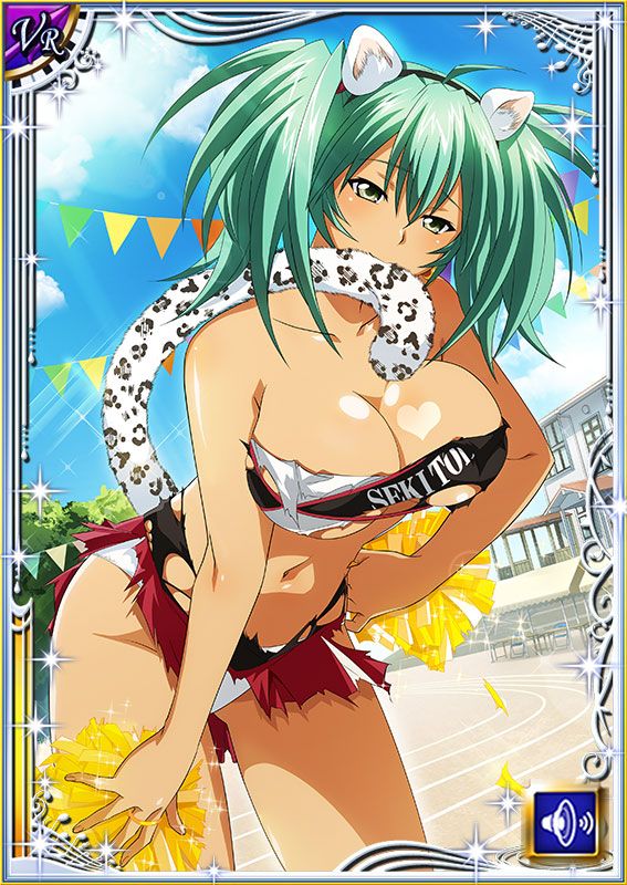 Ikkitousen Cards Coleccyion  Ryofu Housen set 645