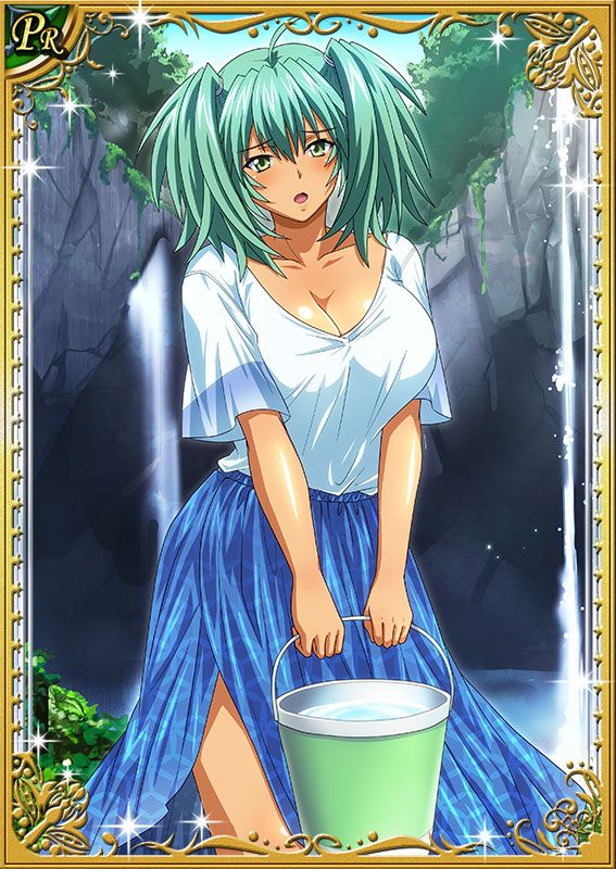 Ikkitousen Cards Coleccyion  Ryofu Housen set 646