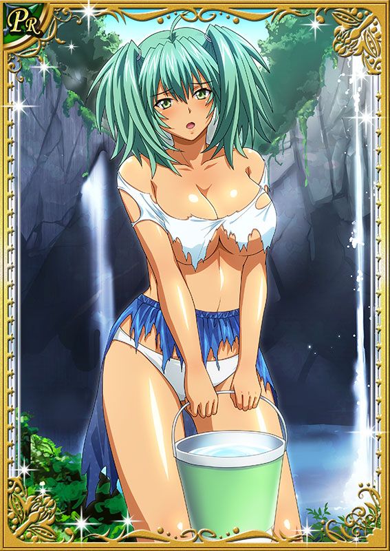 Ikkitousen Cards Coleccyion  Ryofu Housen set 647