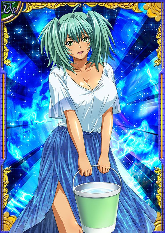 Ikkitousen Cards Coleccyion  Ryofu Housen set 648