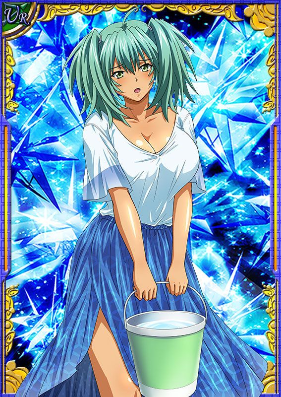 Ikkitousen Cards Coleccyion  Ryofu Housen set 649