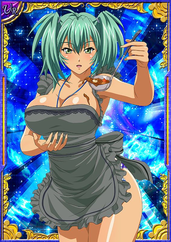 Ikkitousen Cards Coleccyion  Ryofu Housen set 650