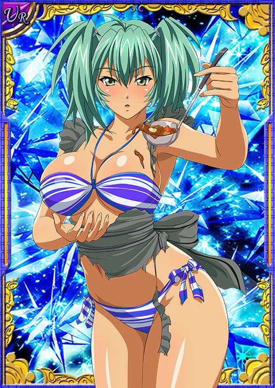 Ikkitousen Cards Coleccyion  Ryofu Housen set 651