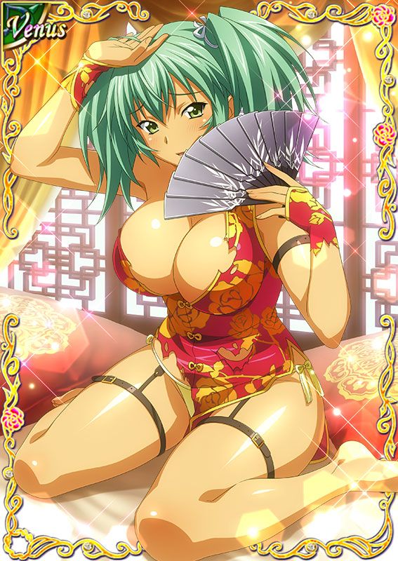 Ikkitousen Cards Coleccyion  Ryofu Housen set 653