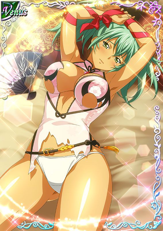 Ikkitousen Cards Coleccyion  Ryofu Housen set 655