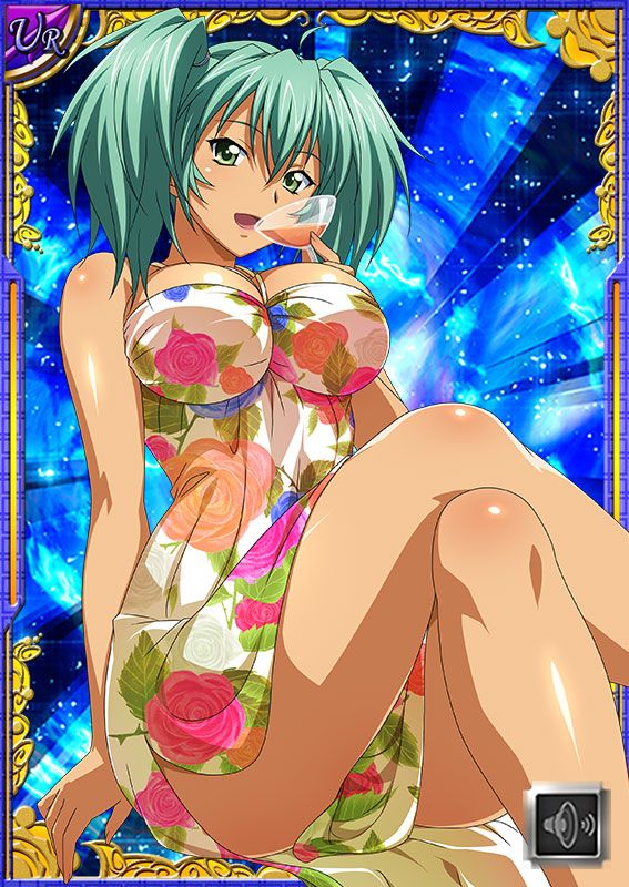 Ikkitousen Cards Coleccyion  Ryofu Housen set 656