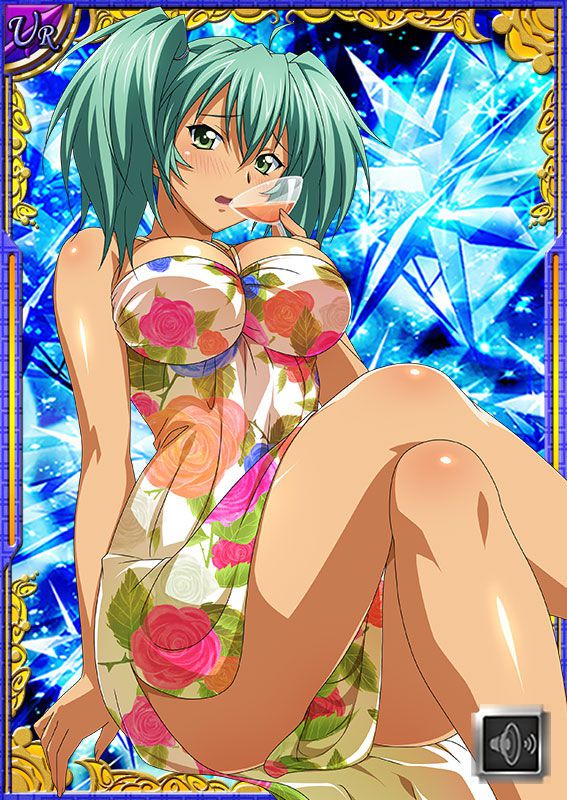 Ikkitousen Cards Coleccyion  Ryofu Housen set 657