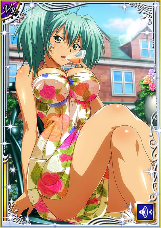 Ikkitousen Cards Coleccyion  Ryofu Housen set 658