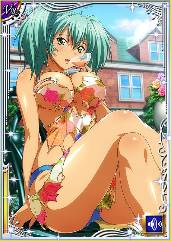 Ikkitousen Cards Coleccyion  Ryofu Housen set 659