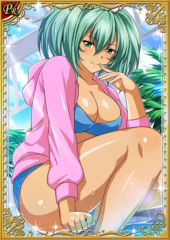 Ikkitousen Cards Coleccyion  Ryofu Housen set 660