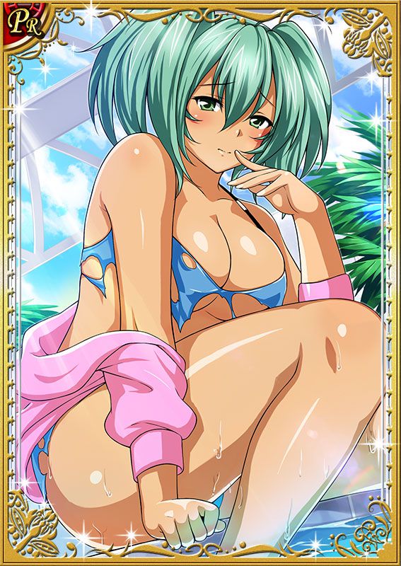 Ikkitousen Cards Coleccyion  Ryofu Housen set 661