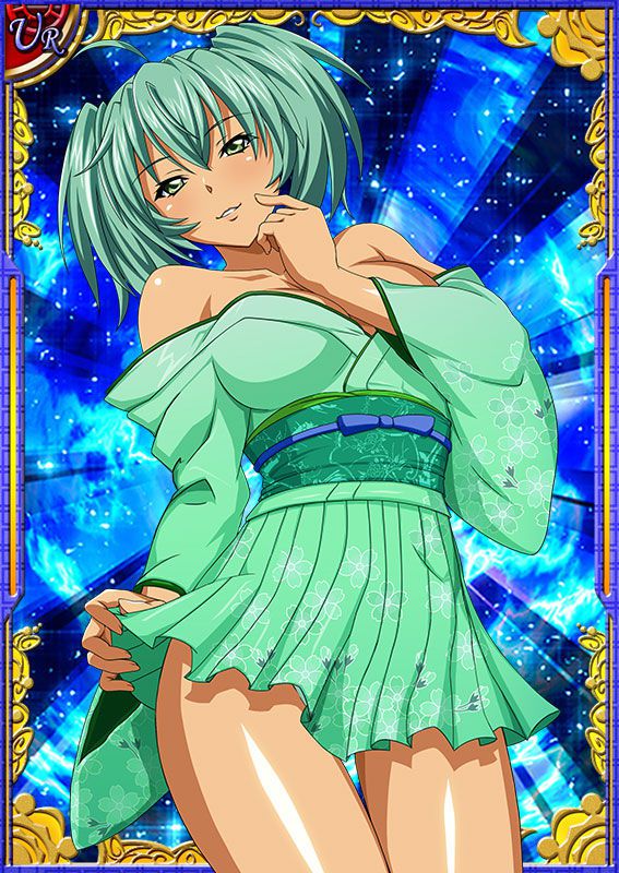 Ikkitousen Cards Coleccyion  Ryofu Housen set 668