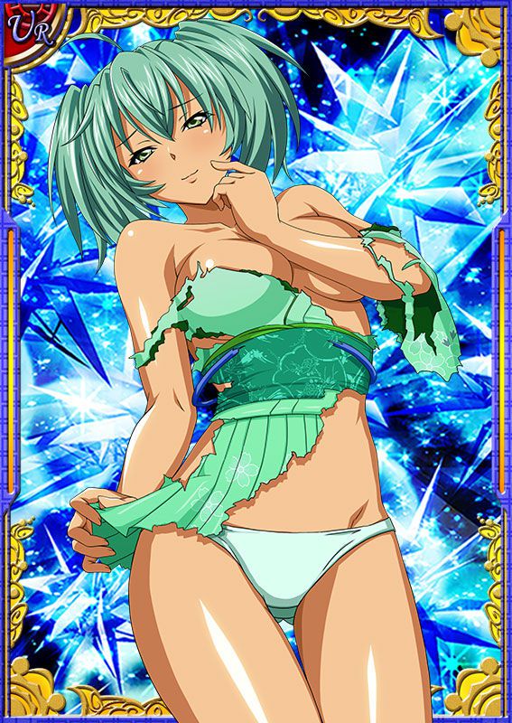 Ikkitousen Cards Coleccyion  Ryofu Housen set 669