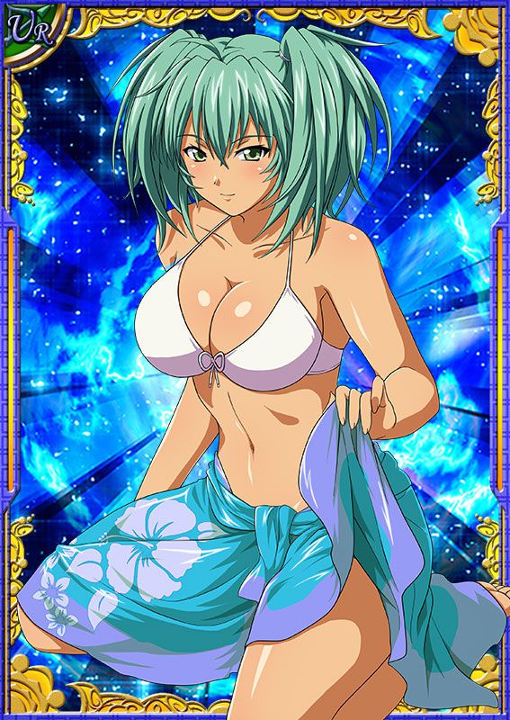 Ikkitousen Cards Coleccyion  Ryofu Housen set 673