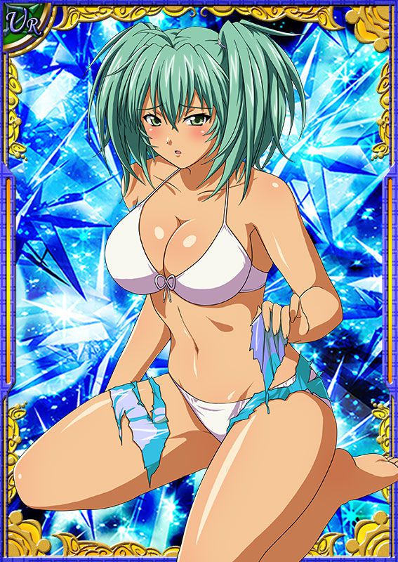 Ikkitousen Cards Coleccyion  Ryofu Housen set 674