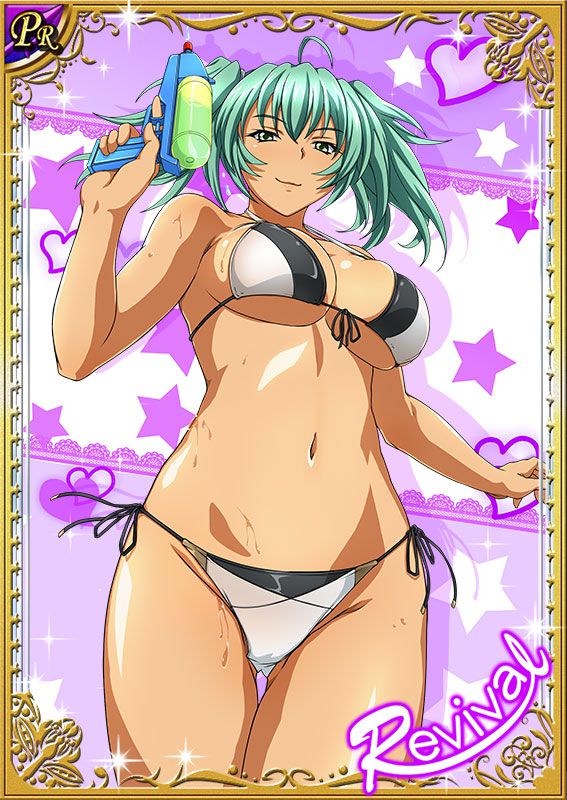 Ikkitousen Cards Coleccyion  Ryofu Housen set 675