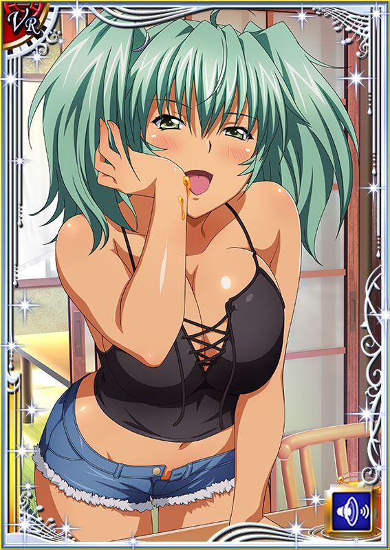 Ikkitousen Cards Coleccyion  Ryofu Housen set 677