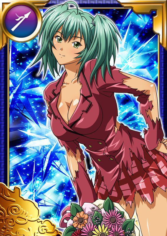 Ikkitousen Cards Coleccyion  Ryofu Housen set 680