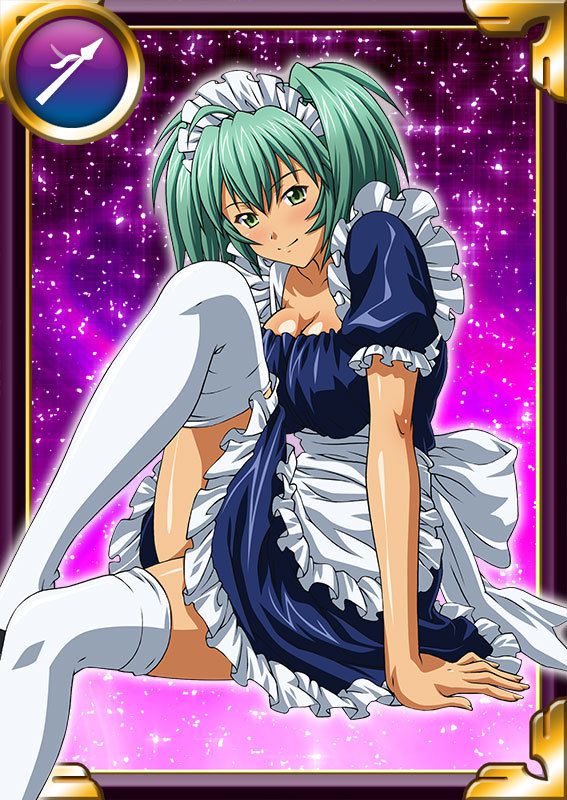 Ikkitousen Cards Coleccyion  Ryofu Housen set 681