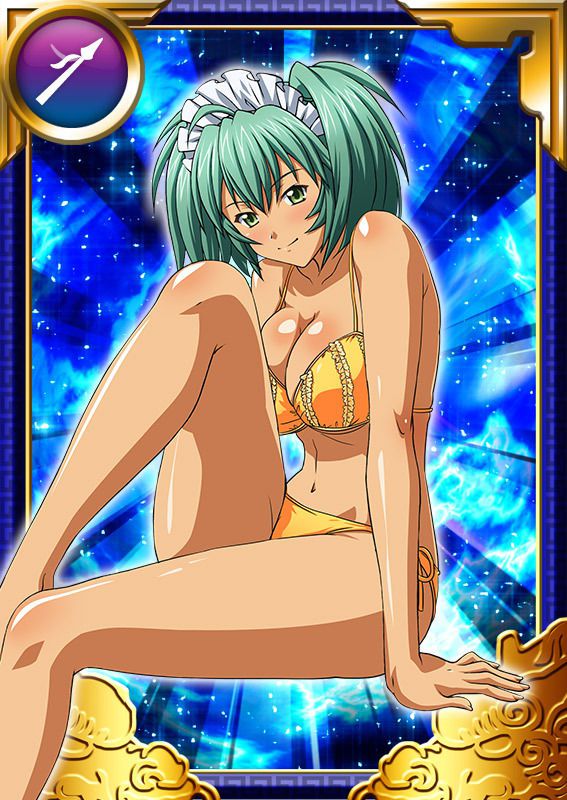 Ikkitousen Cards Coleccyion  Ryofu Housen set 683