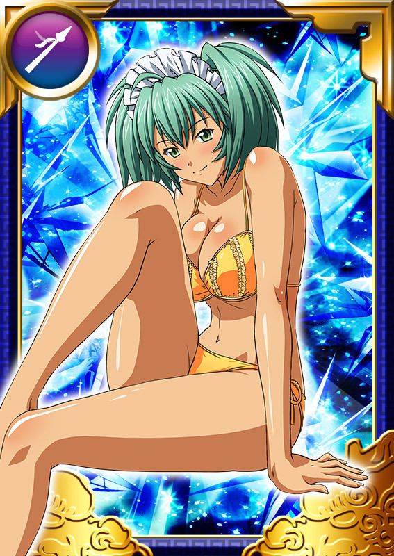 Ikkitousen Cards Coleccyion  Ryofu Housen set 684