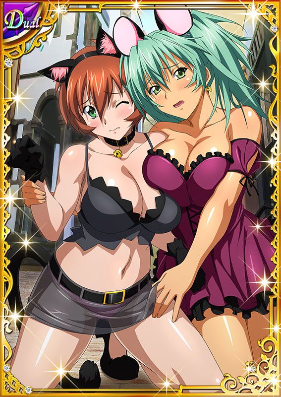 Ikkitousen Cards Coleccyion  Ryofu Housen set 685