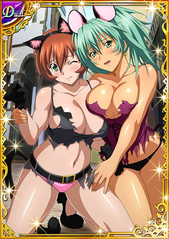 Ikkitousen Cards Coleccyion  Ryofu Housen set 686