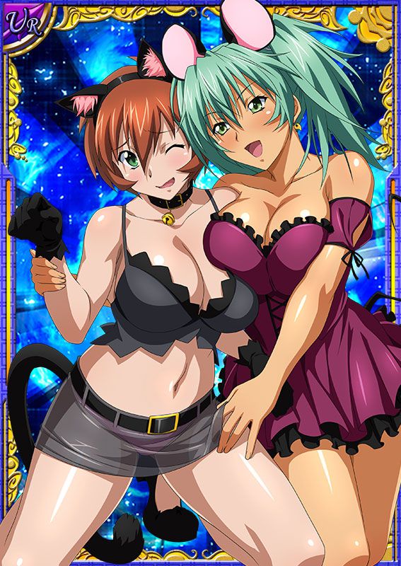 Ikkitousen Cards Coleccyion  Ryofu Housen set 687