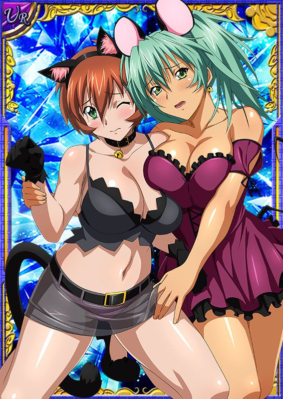 Ikkitousen Cards Coleccyion  Ryofu Housen set 688