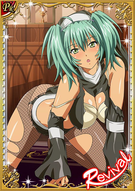 Ikkitousen Cards Coleccyion  Ryofu Housen set 692