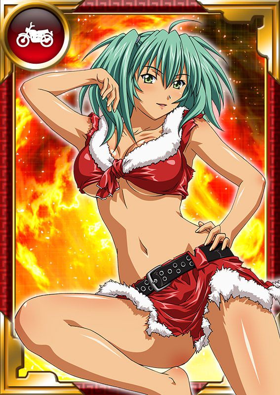 Ikkitousen Cards Coleccyion  Ryofu Housen set 693