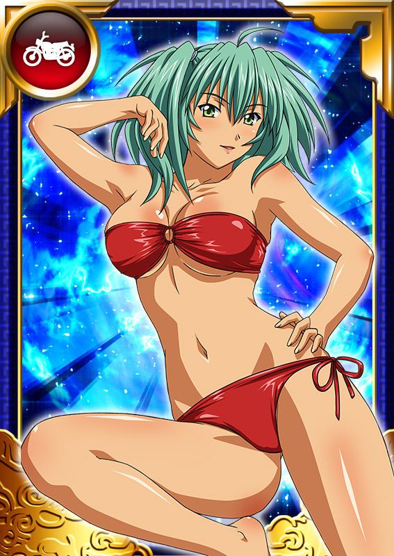 Ikkitousen Cards Coleccyion  Ryofu Housen set 694