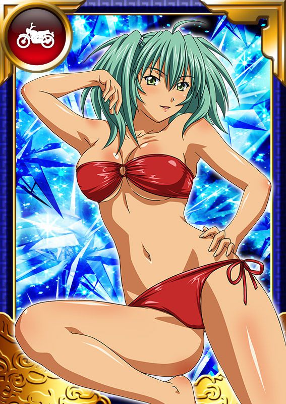 Ikkitousen Cards Coleccyion  Ryofu Housen set 695