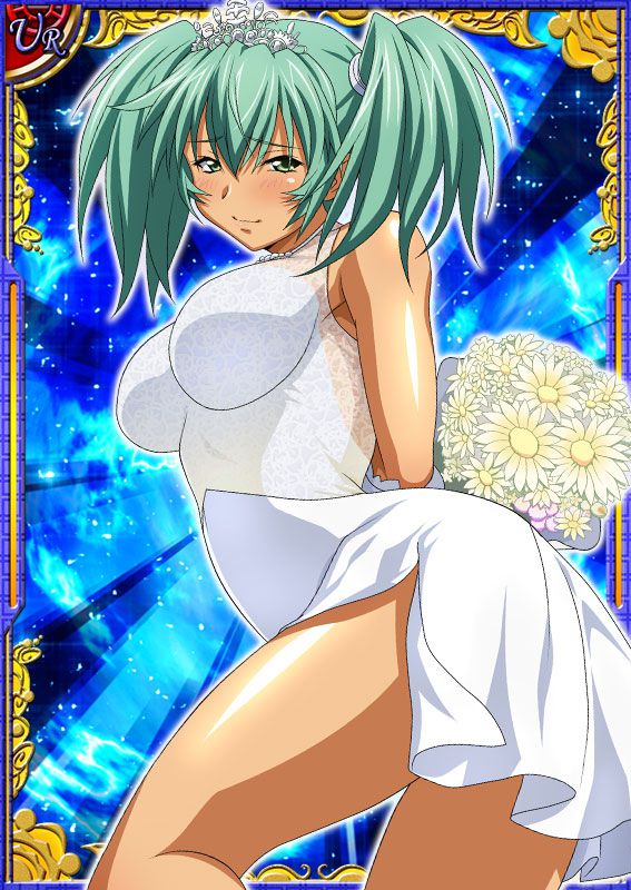 Ikkitousen Cards Coleccyion  Ryofu Housen set 7