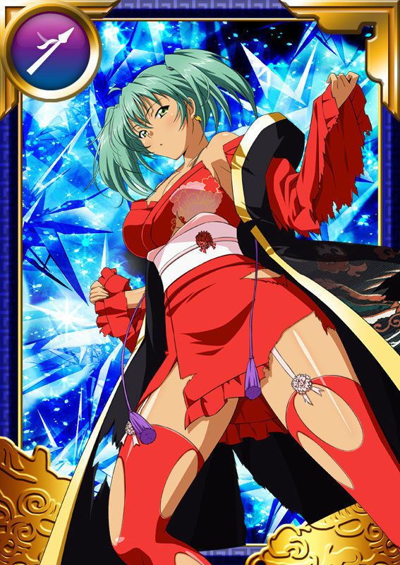 Ikkitousen Cards Coleccyion  Ryofu Housen set 700