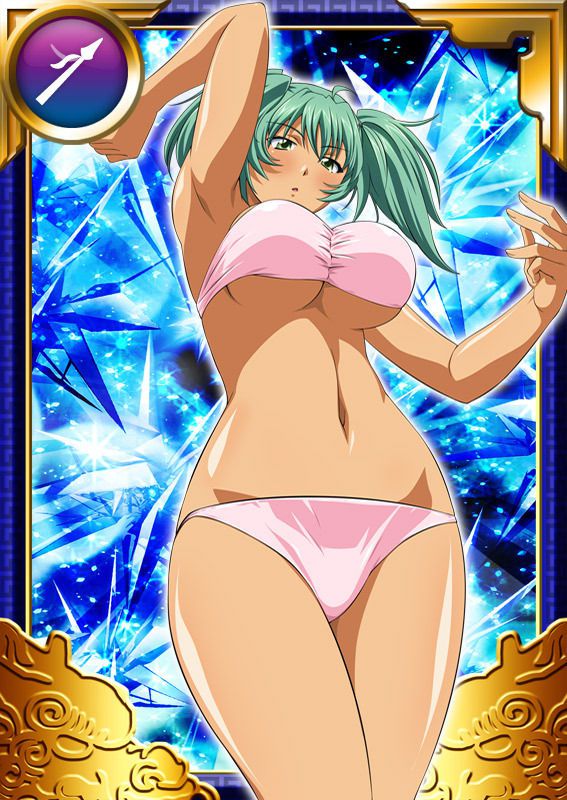 Ikkitousen Cards Coleccyion  Ryofu Housen set 704