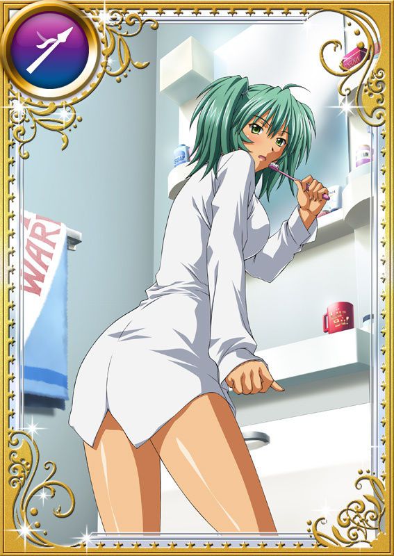 Ikkitousen Cards Coleccyion  Ryofu Housen set 705