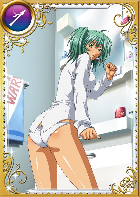 Ikkitousen Cards Coleccyion  Ryofu Housen set 706