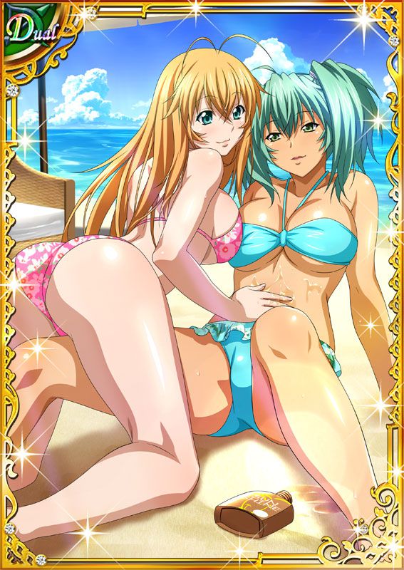 Ikkitousen Cards Coleccyion  Ryofu Housen set 708