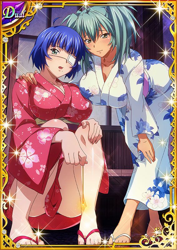 Ikkitousen Cards Coleccyion  Ryofu Housen set 710