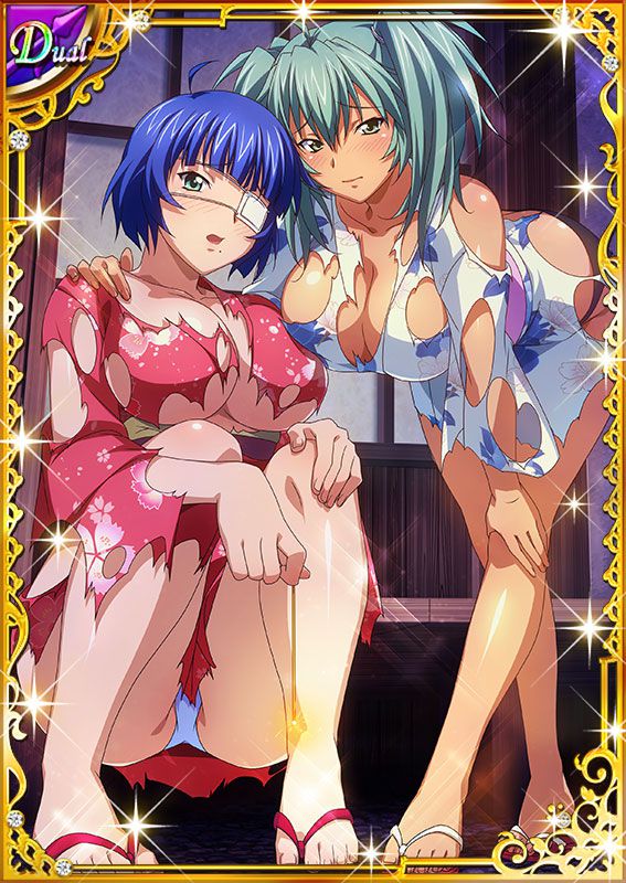 Ikkitousen Cards Coleccyion  Ryofu Housen set 711