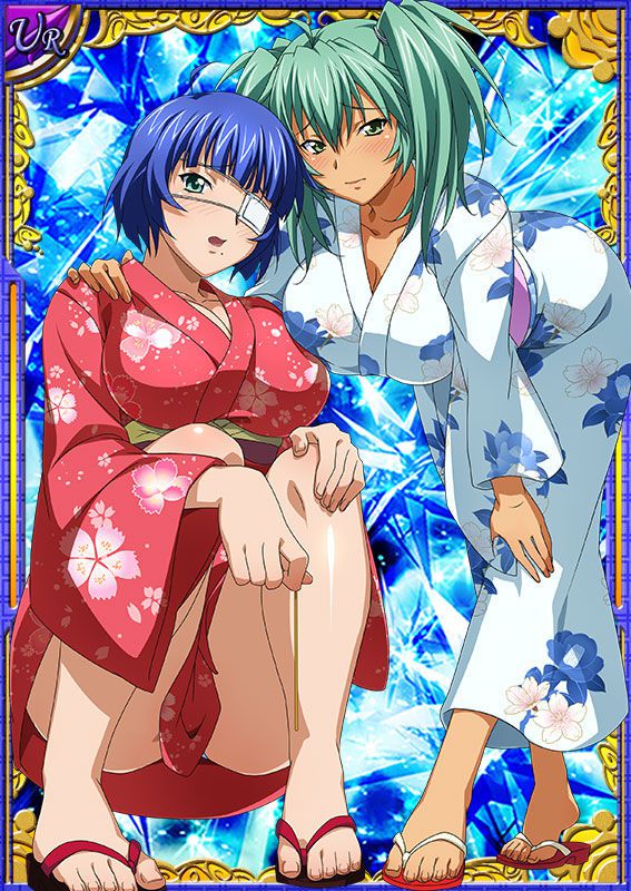 Ikkitousen Cards Coleccyion  Ryofu Housen set 713