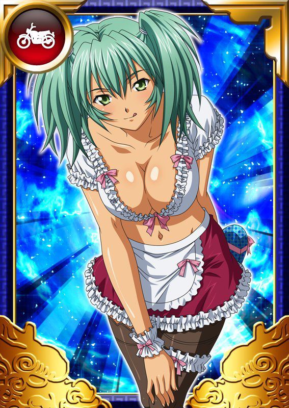 Ikkitousen Cards Coleccyion  Ryofu Housen set 714