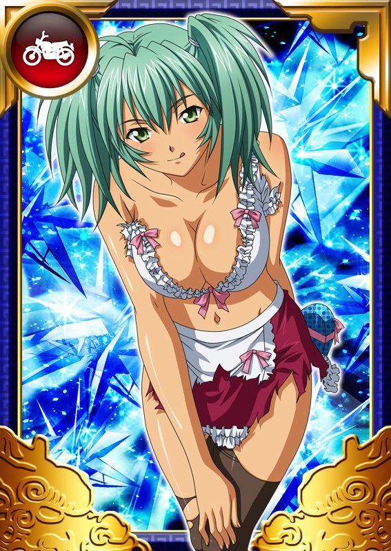 Ikkitousen Cards Coleccyion  Ryofu Housen set 715